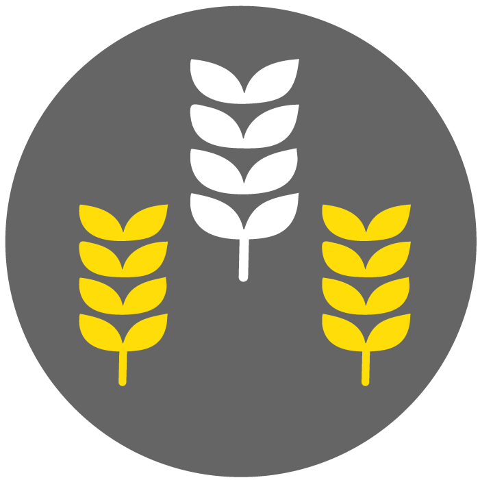 Symbolgrafik zur Getreidelagerung: drei Ähren-Symbole auf schwarzem Hintergrund.