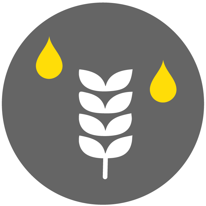 Symbolgrafik zur Getreidereinigung: weißes Ähren-Symbol mit zwei gelben Tropfen auf schwarzem Hintergrund.