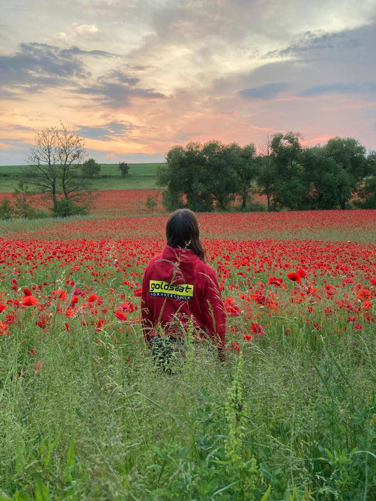 Person mit roter Goldsaat-Jacke steht in einem blühenden Mohnfeld bei Sonnenuntergang