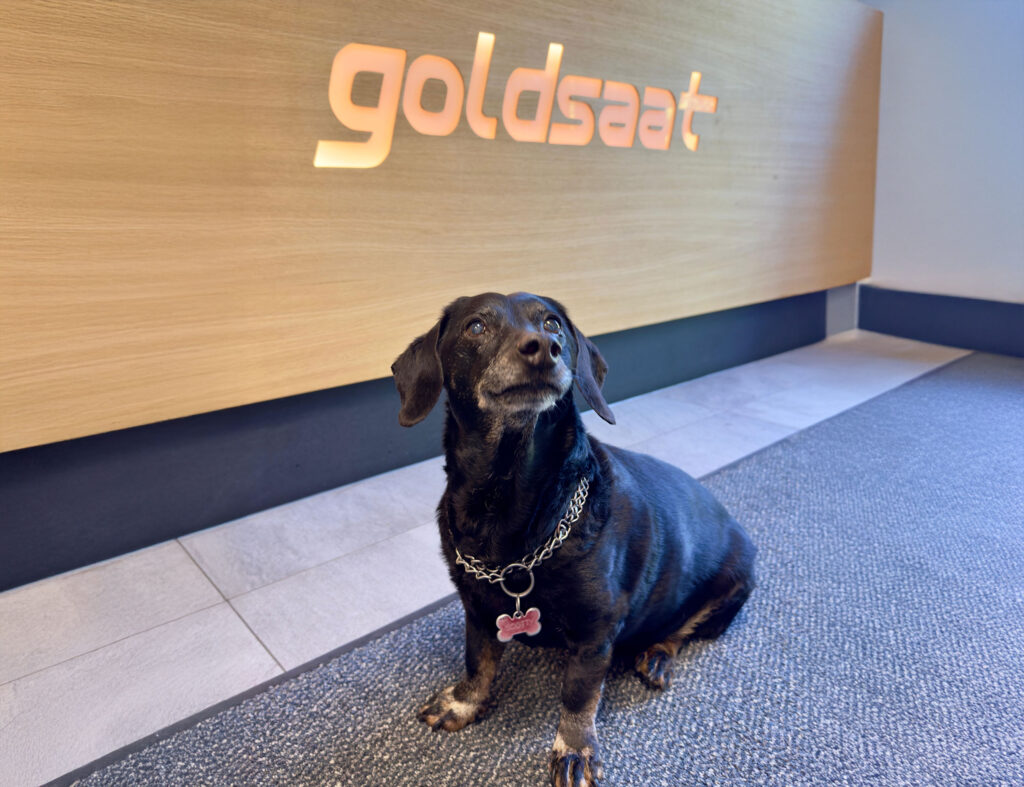 Kleiner schwarzer Hund sitzt im Eingangsbereich vor einer Holzfront mit dem beleuchteten goldsaat-Logo.